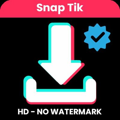 Snaptikvn Info
