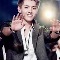 exolaychips