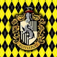 AwHufflepuff3988