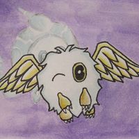 Llew444