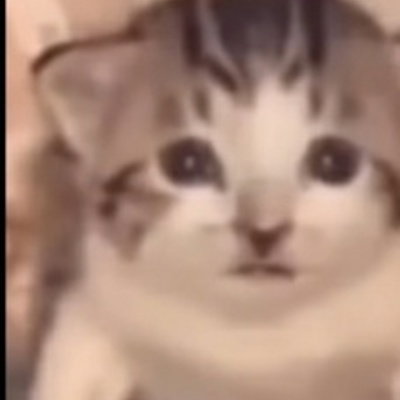 Otterrama