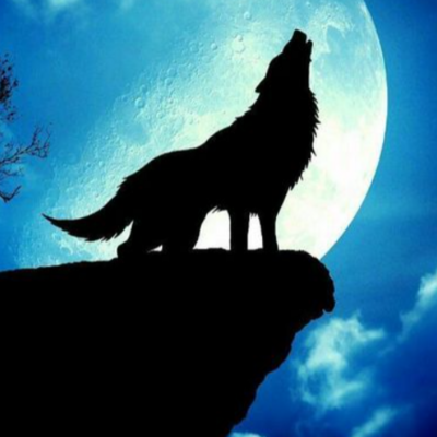 TNTwolf