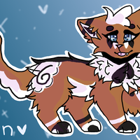 Orora Dingo