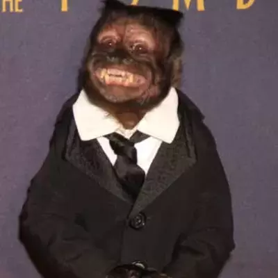 TheGentleMan