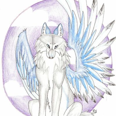 stareevee fan