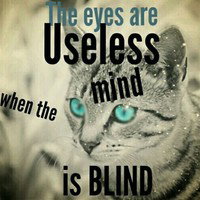 FeatherEyes