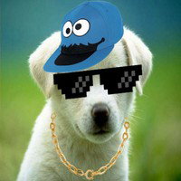 UrBoiThePupper