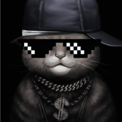 SwagCatStudios