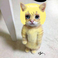 kazepotato