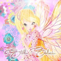 SalufyStudio