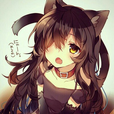 Forgot Neko