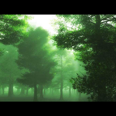 EmeraldButterfly