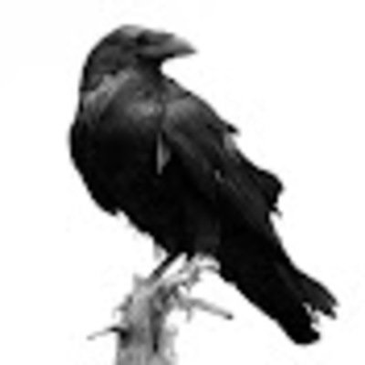 RavenVAYT