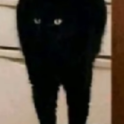 nekocha