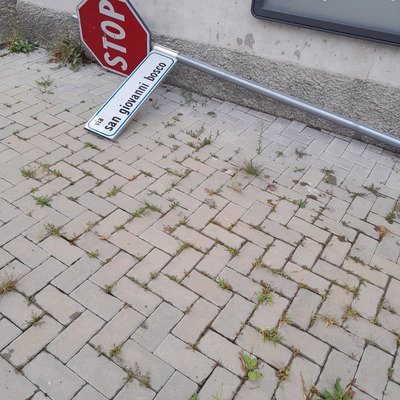 Thomas Olimpio Acquistapace