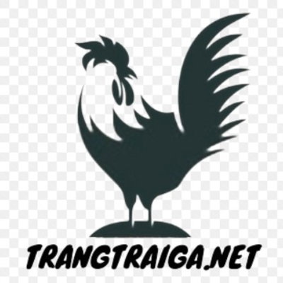 Trang Trại Gà OP