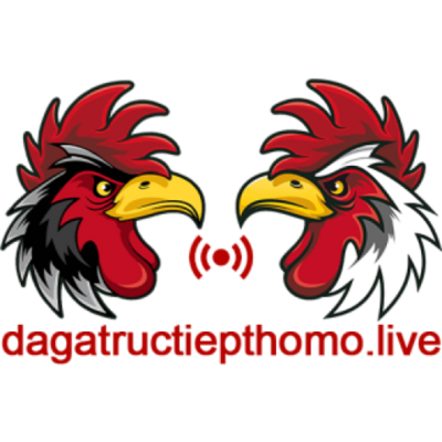 Đá Gà Trực Tiếp Thomo