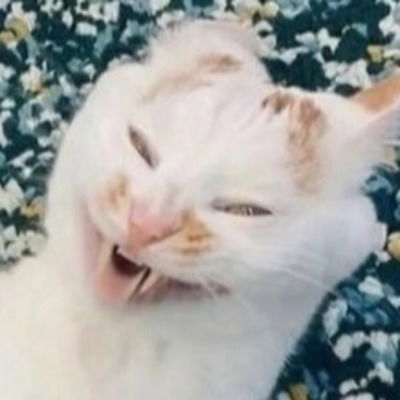 The Circus Of Dismay