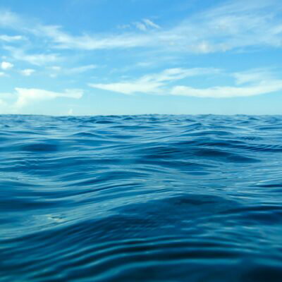 TheAquaticFin
