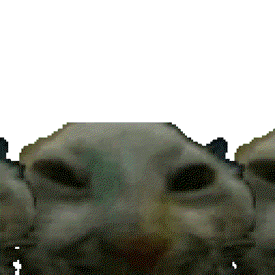 MaxSO