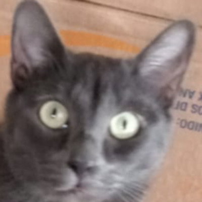 Khaos