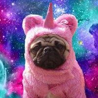 KawaiiRipley