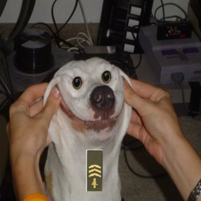 The Sergeant Doggo