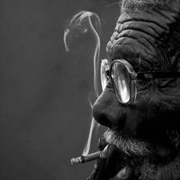 JackHowitzer