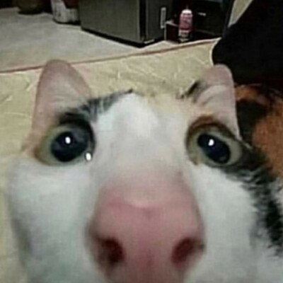 silly_mode