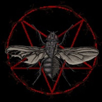 Dead Fly Games