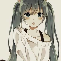 FlipperGirl2468