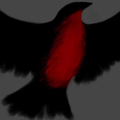 The Black Robin