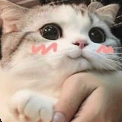 Mewsycat