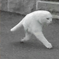 Ninonsand