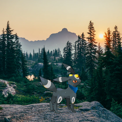 Echo-the-umbreon 