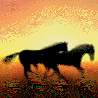 SunStreak