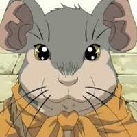 rodent