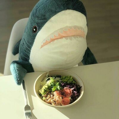 BLÅHAJ