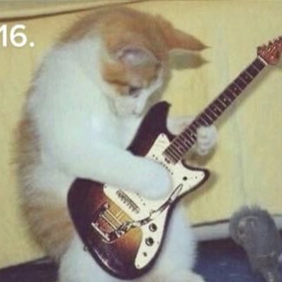 The Coolest of Beans