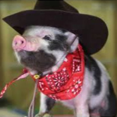 Fizzpig