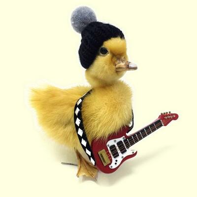 Declan Duckyyy