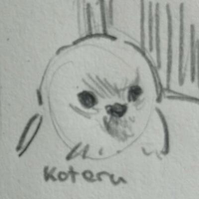 Koteru