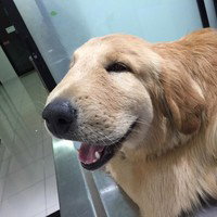 PuptownFunk