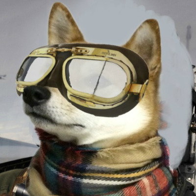 Ace-Shibe