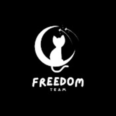 FreedomTeam Studio