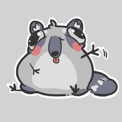Raccoon