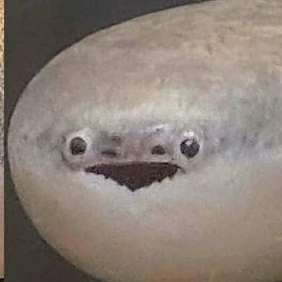 Untrained Combat Medic