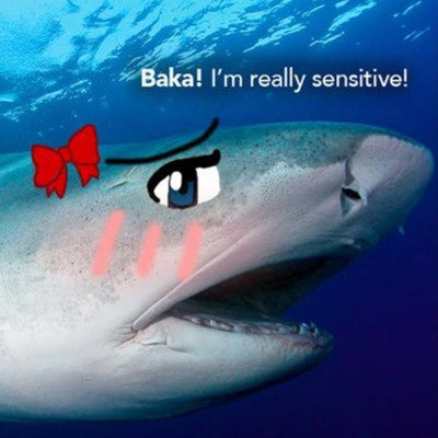 Gugu Gara 🦈