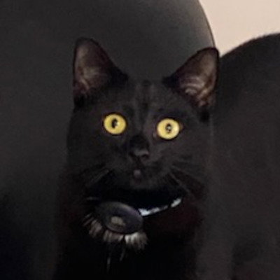 Iz