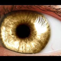 GolddenEyes